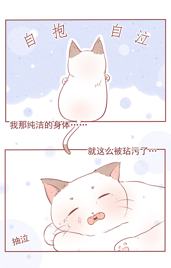 晴天钢琴谱完整版免费漫画,第6章：3图