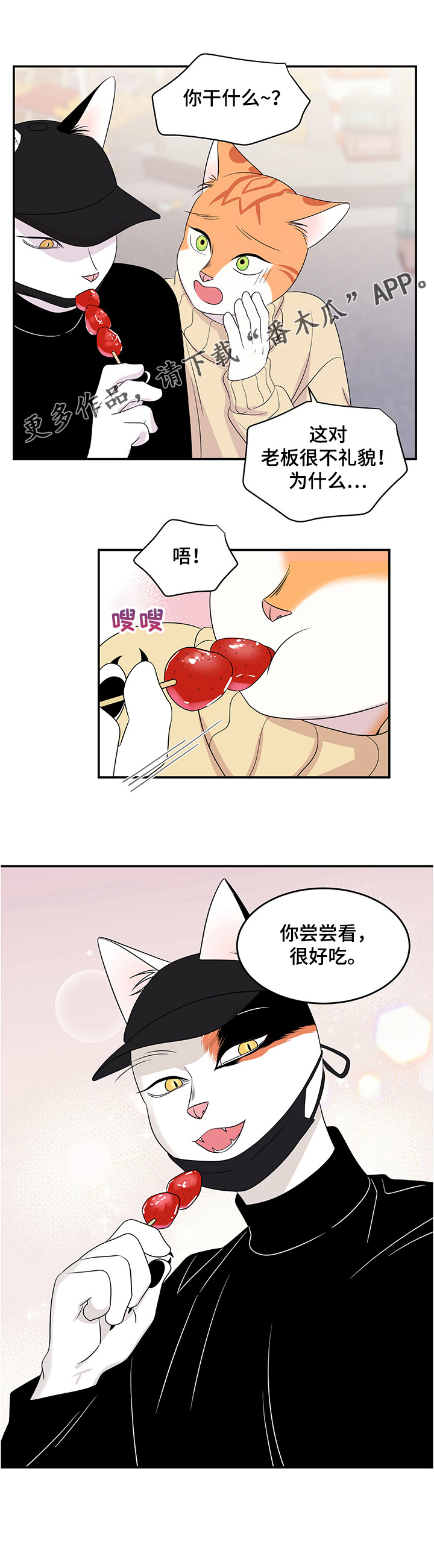 灵猫欧米伽漫画全部免费看漫画,第9章：集市1图