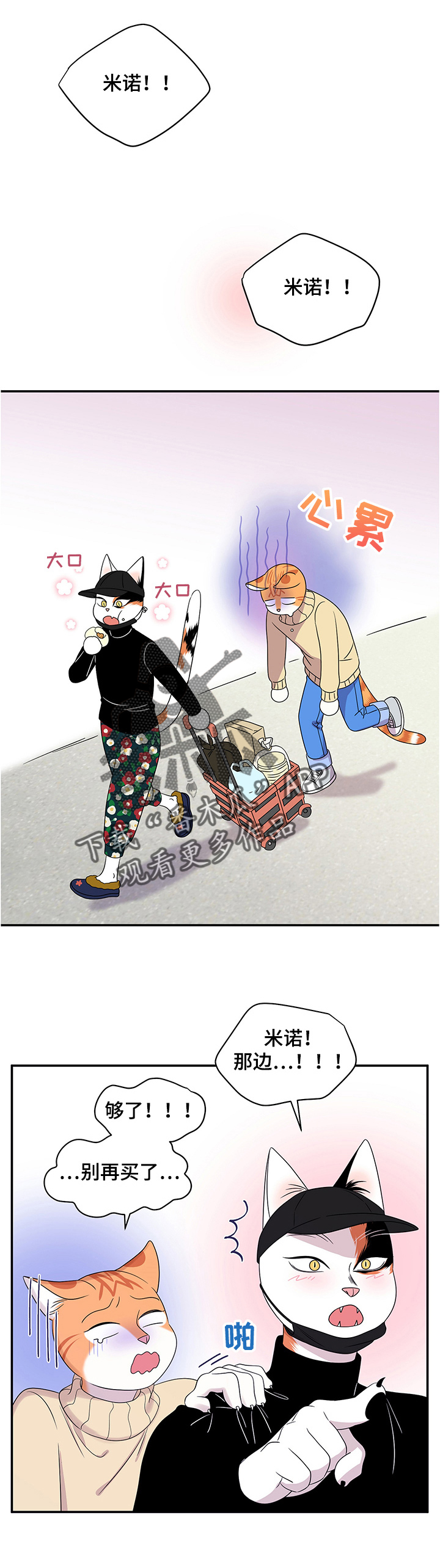 灵猫欧米伽漫画全部免费看漫画,第9章：集市5图