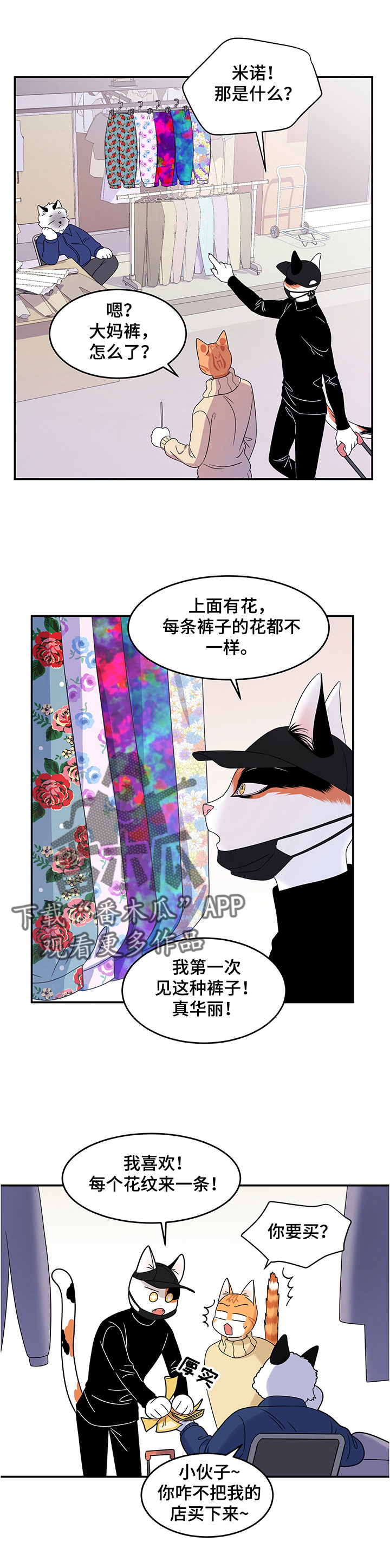 灵猫欧米伽漫画全部免费看漫画,第9章：集市3图