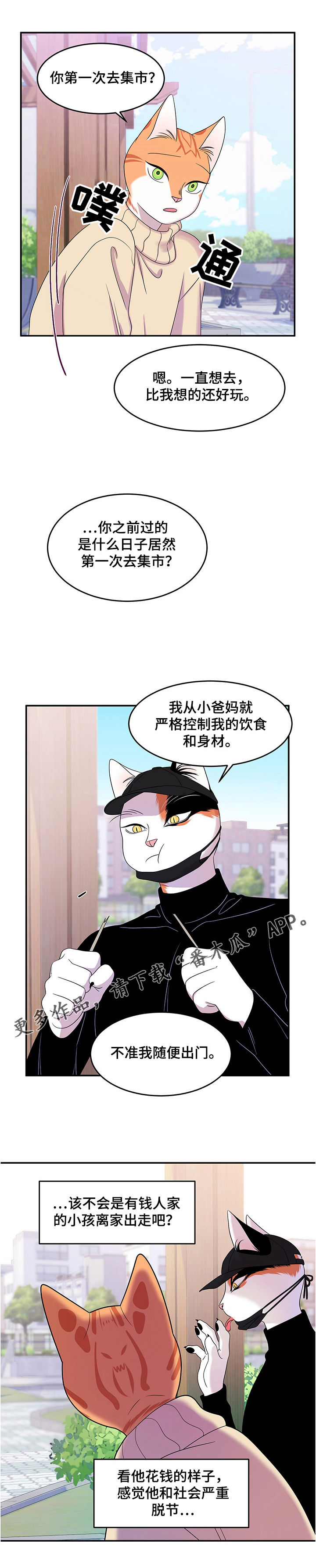 灵猫欧米伽漫画全部免费看漫画,第9章：集市2图