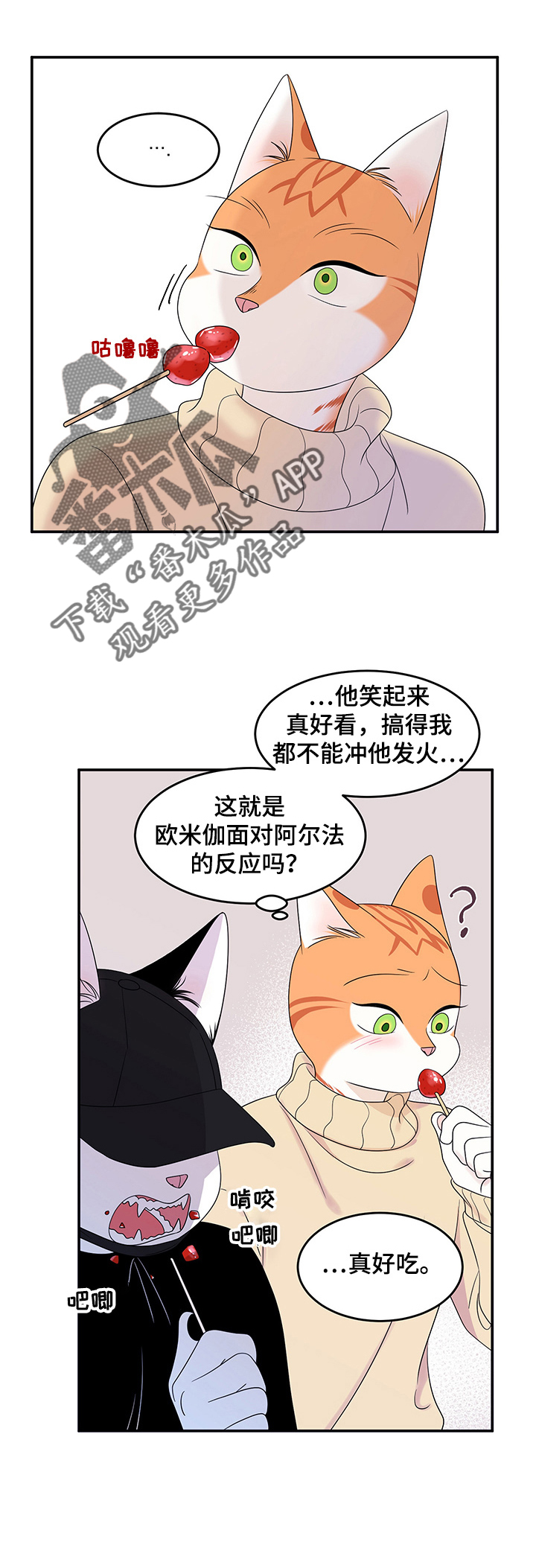 灵猫欧米伽漫画全部免费看漫画,第9章：集市2图