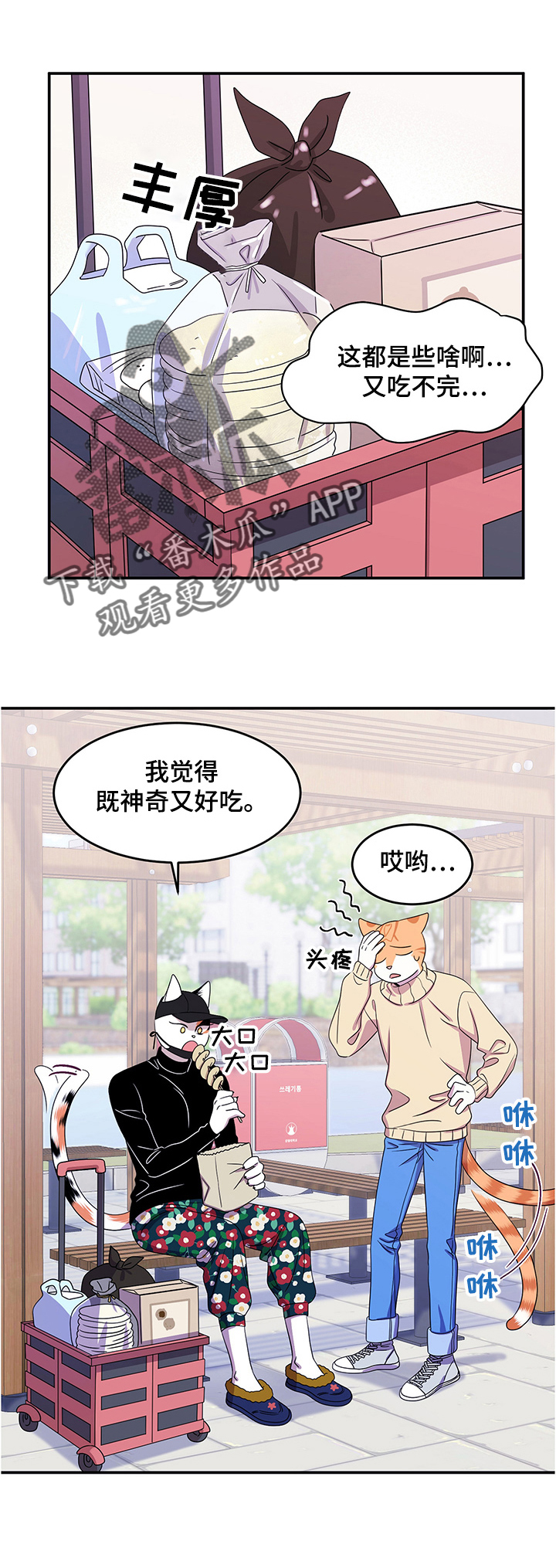 灵猫欧米伽漫画全部免费看漫画,第9章：集市1图