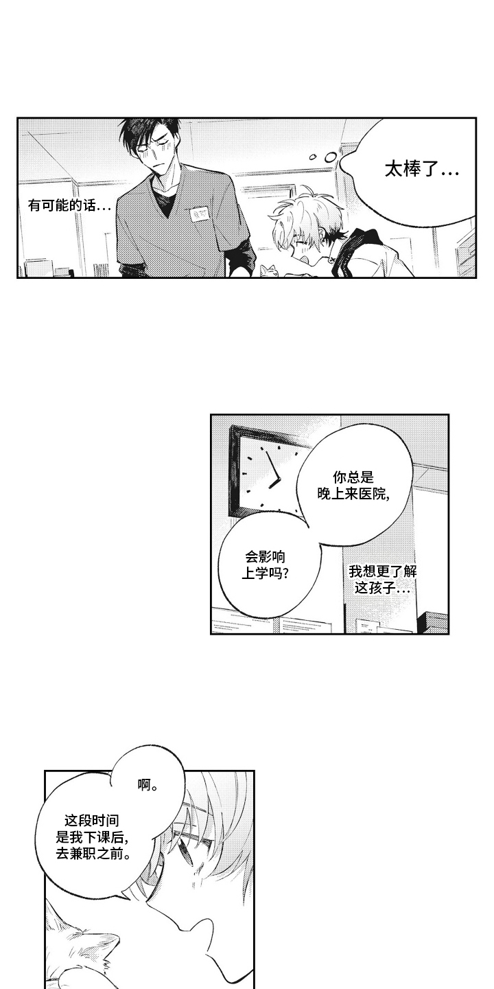 只属于我的猫漫画,第3话4图