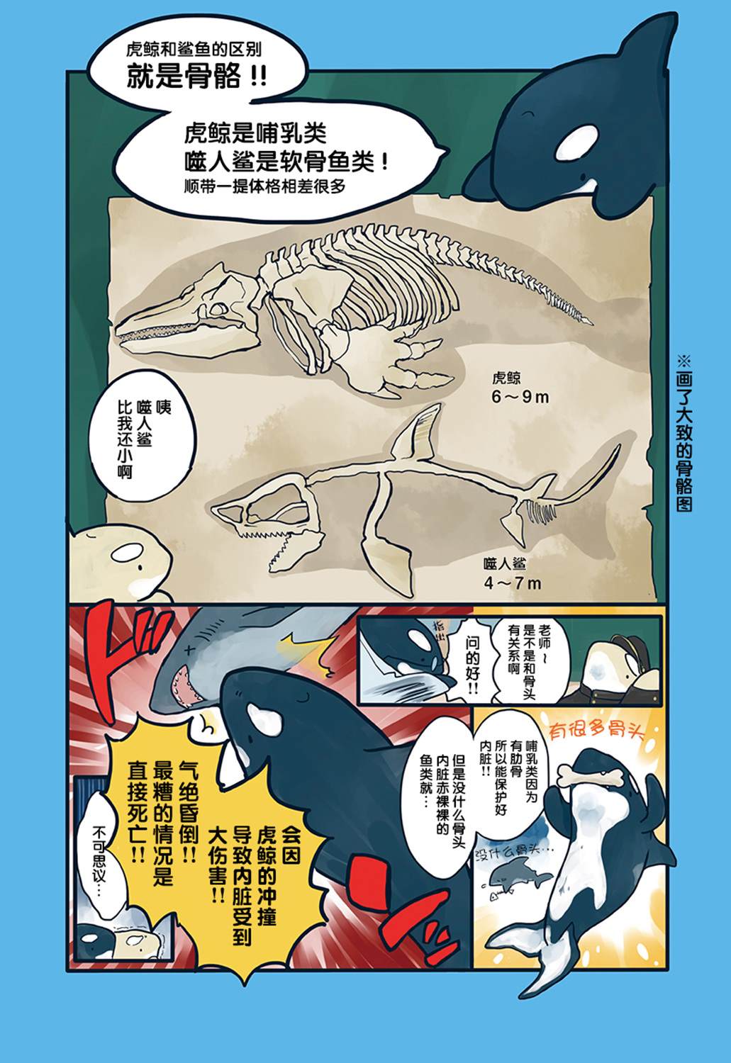 海洋动物太可爱了!漫画,第2话2图