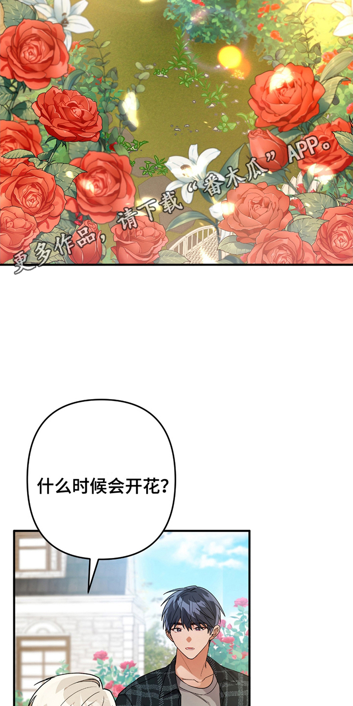 灰熊的玫瑰住宅漫画,第4话4图