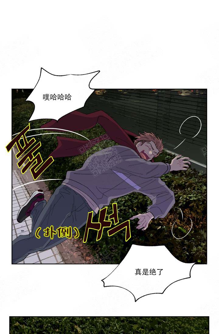 浪漫箱子漫画,第9话1图