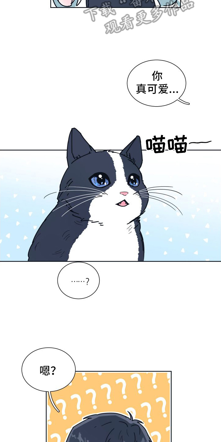 坠入你的心漫画,第6话3图