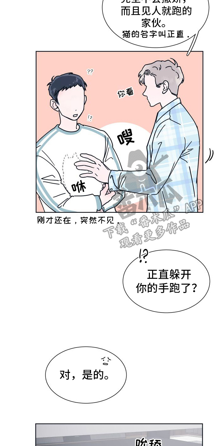 坠入你的心漫画,第6话5图