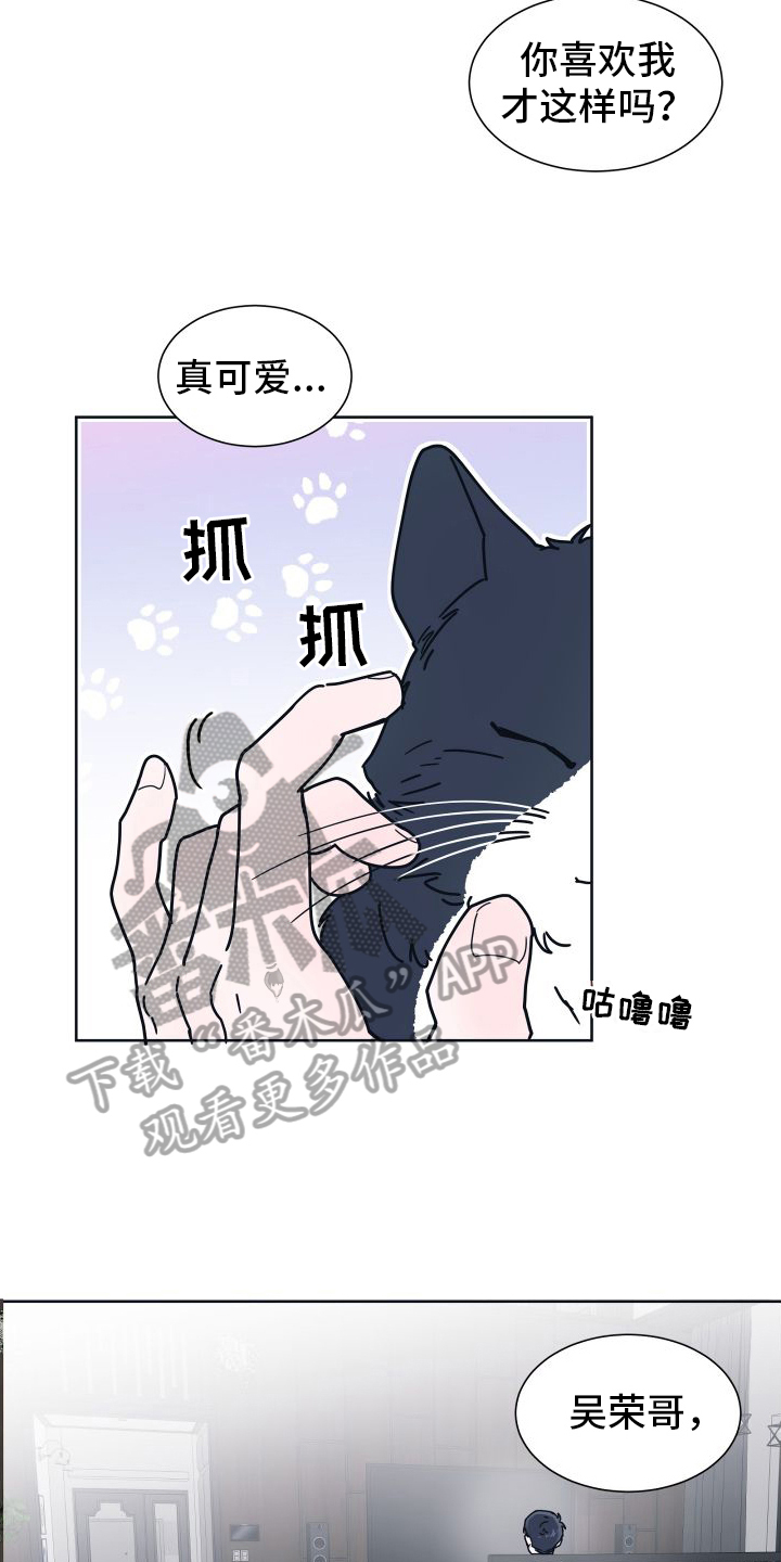 坠入你的心漫画,第6话5图