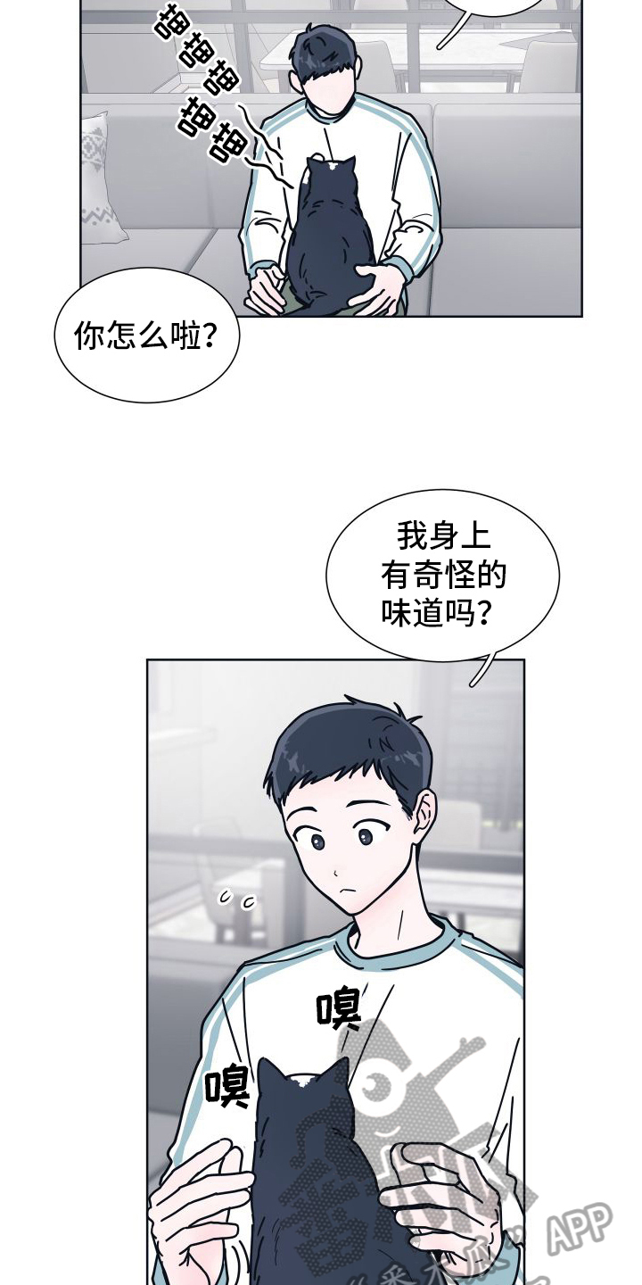 坠入你的心漫画,第6话2图