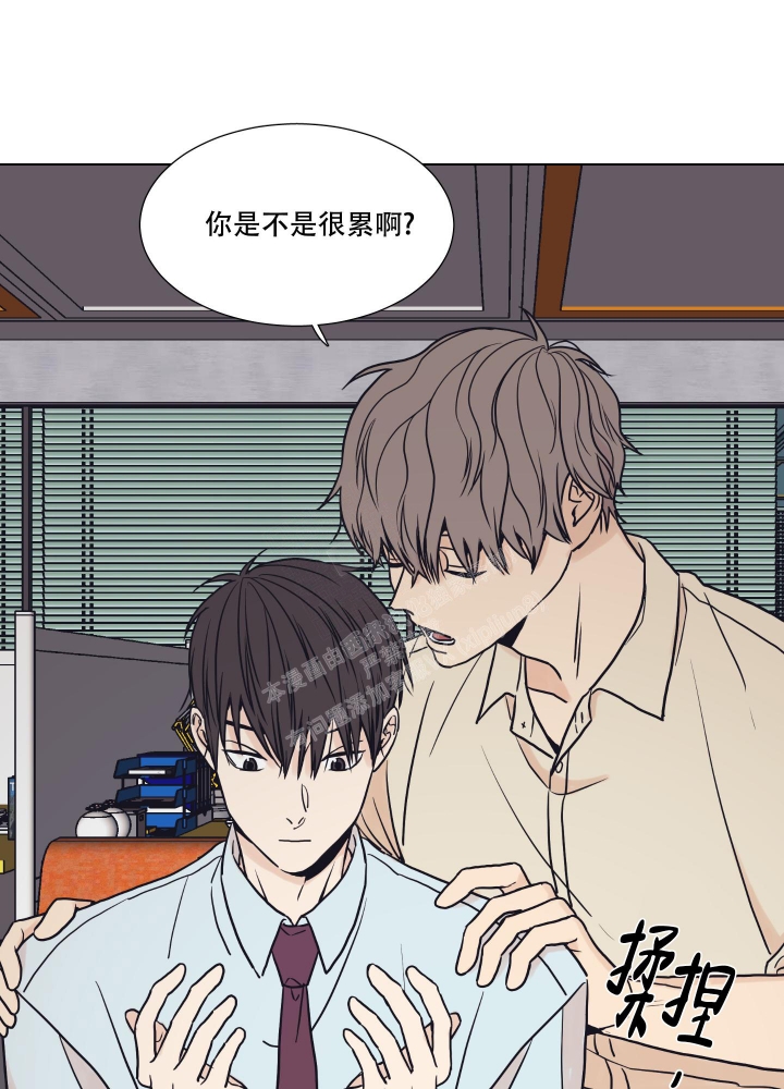 金代理的规则漫画,第4话1图