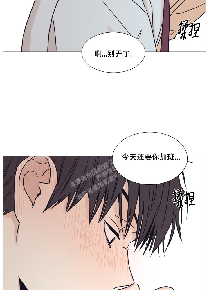 金代理的规则漫画,第4话4图