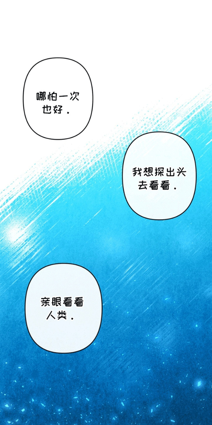 美人鱼的憧憬漫画,第4话3图