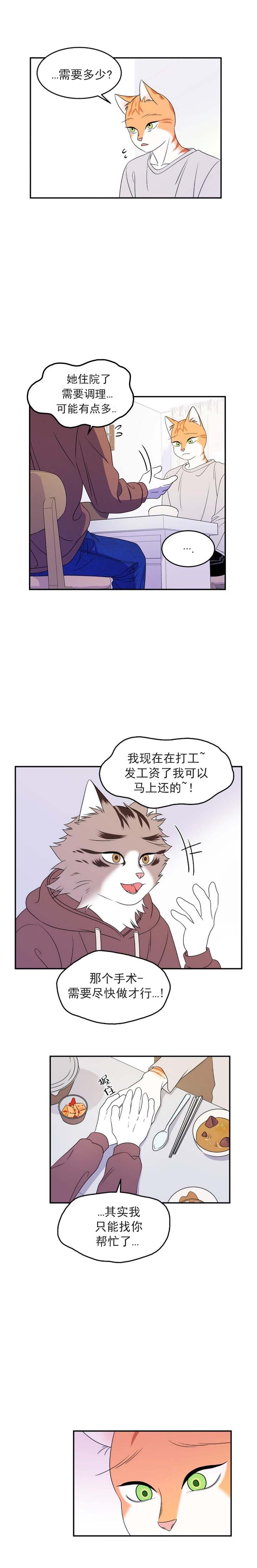 蓝色计划讲的什么漫画,第5话3图