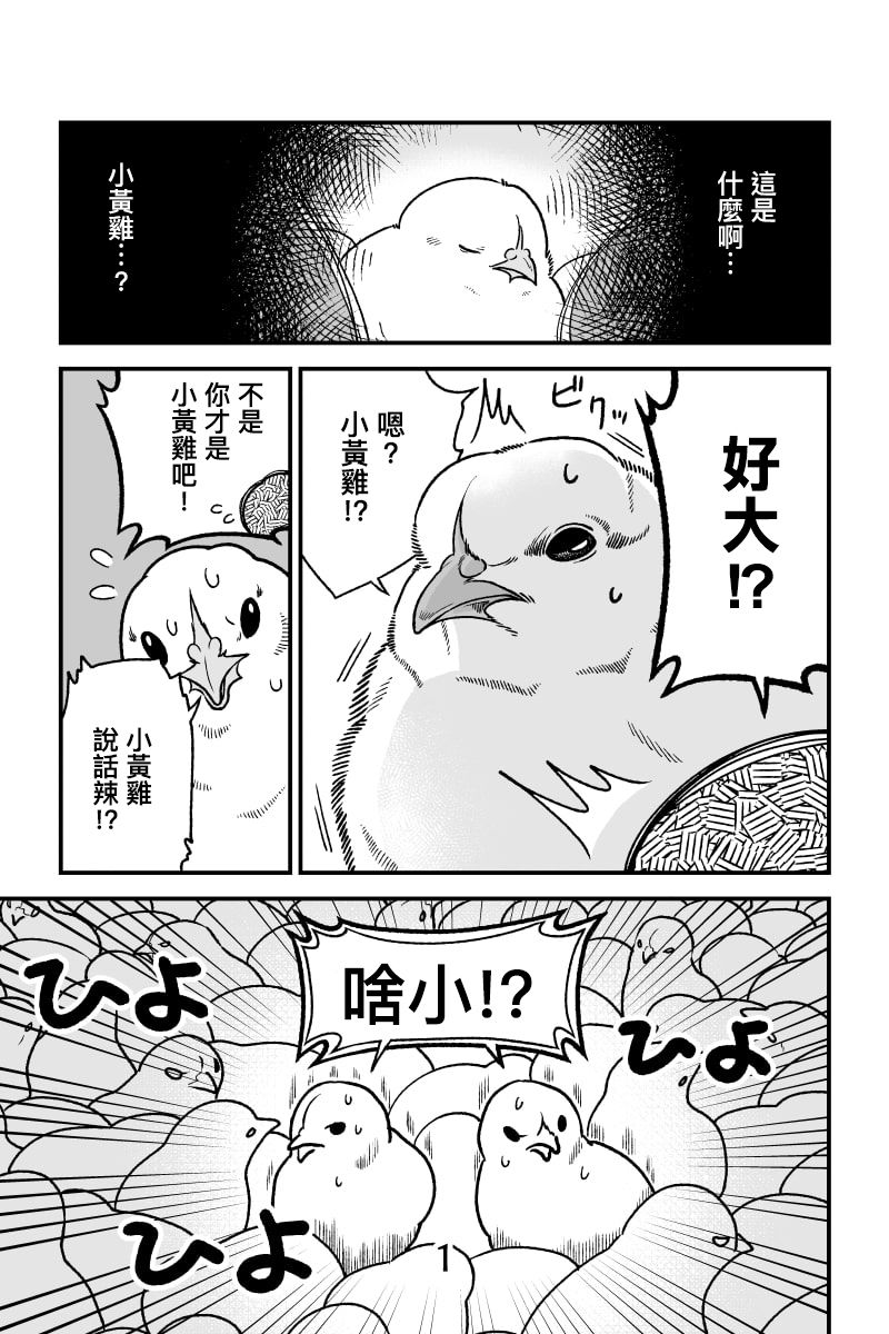 小黄鸡梦醒后漫画,第1话1图