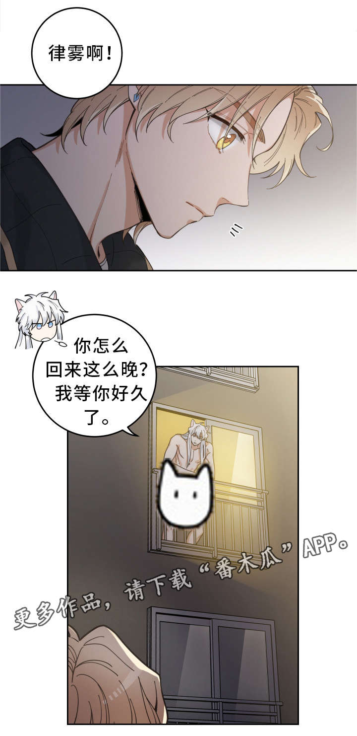 亲爱的喵君漫画,第7章：衣服3图