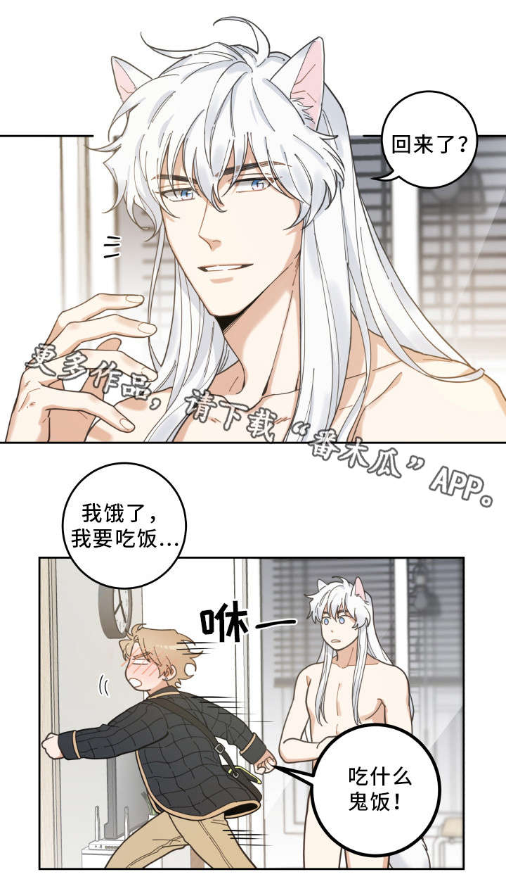 亲爱的喵君漫画,第7章：衣服1图