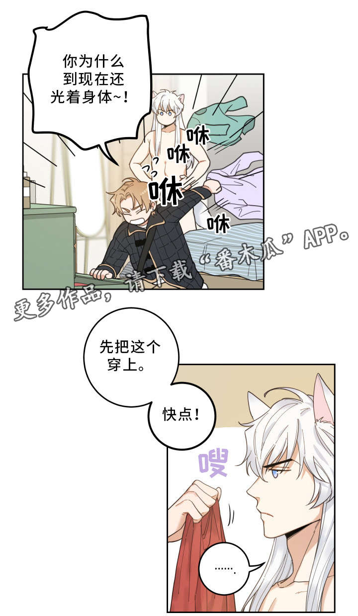 亲爱的喵君漫画,第7章：衣服2图