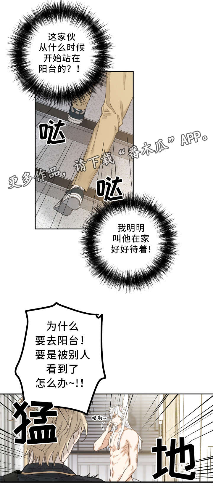 亲爱的喵君漫画,第7章：衣服5图