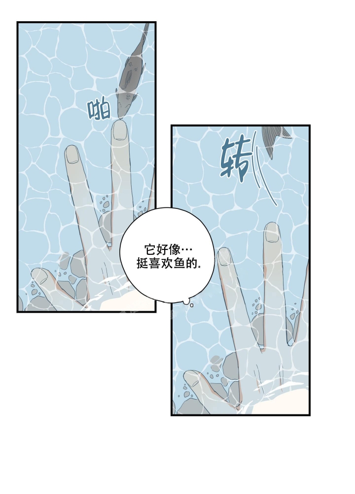 铺满金钟花的路大结局漫画,第6话1图