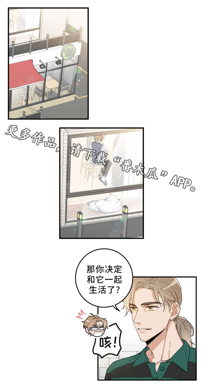 亲爱的喵君漫画,第10章：负责到底2图