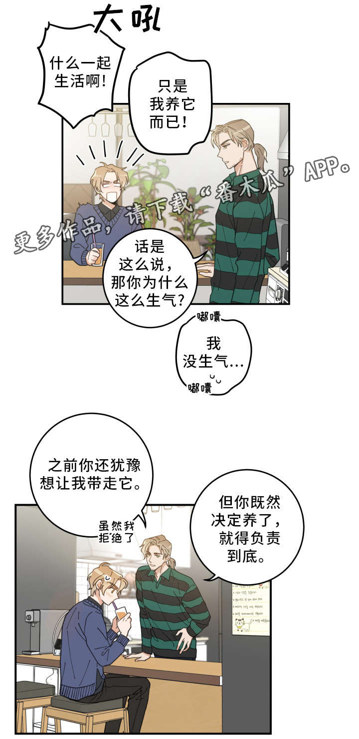 亲爱的喵君漫画,第10章：负责到底3图