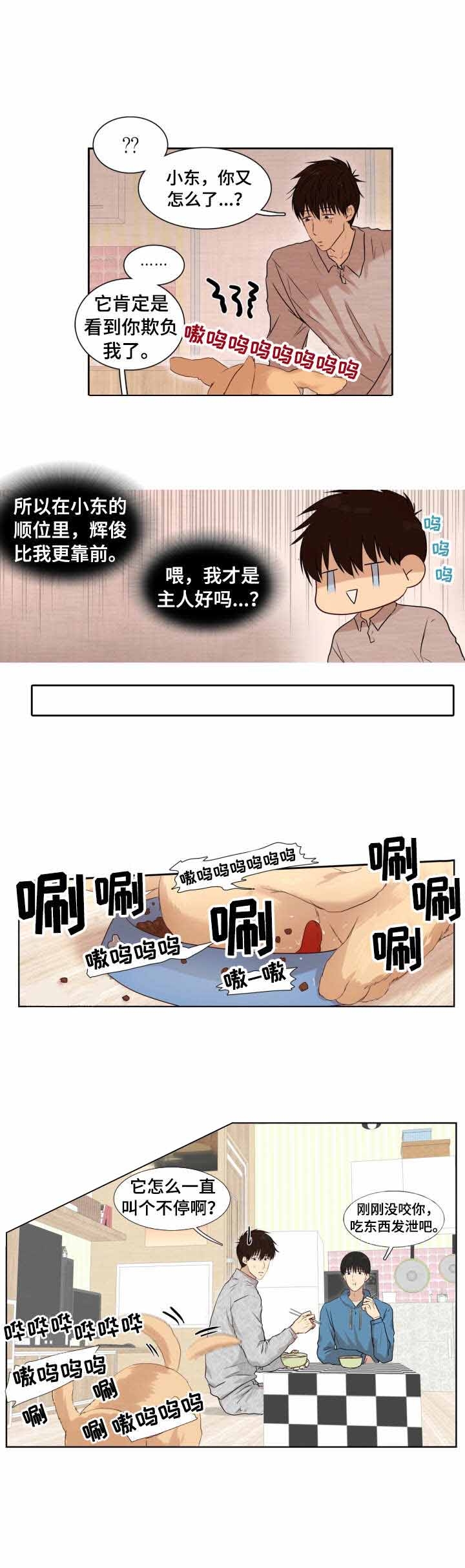 灵羊至精丹是什么样剂型漫画,第9话1图