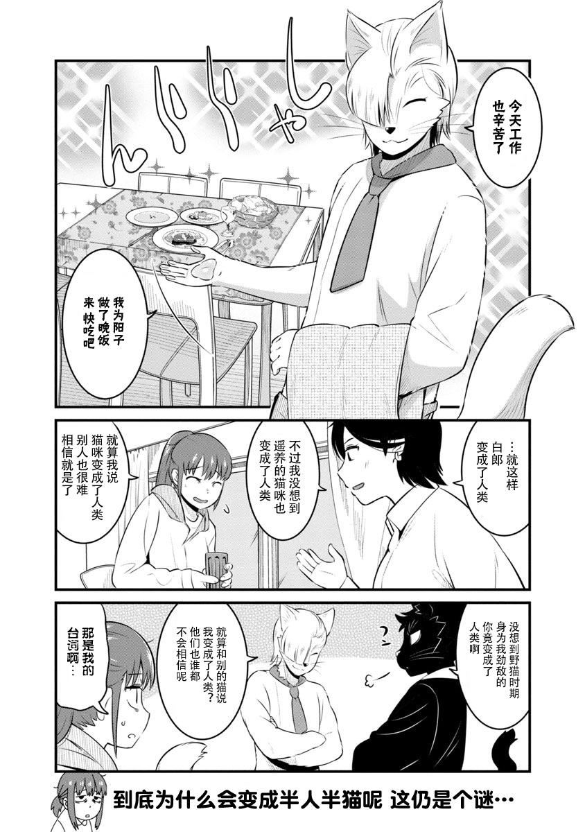 佐伯家的黑猫漫画,第4话4图