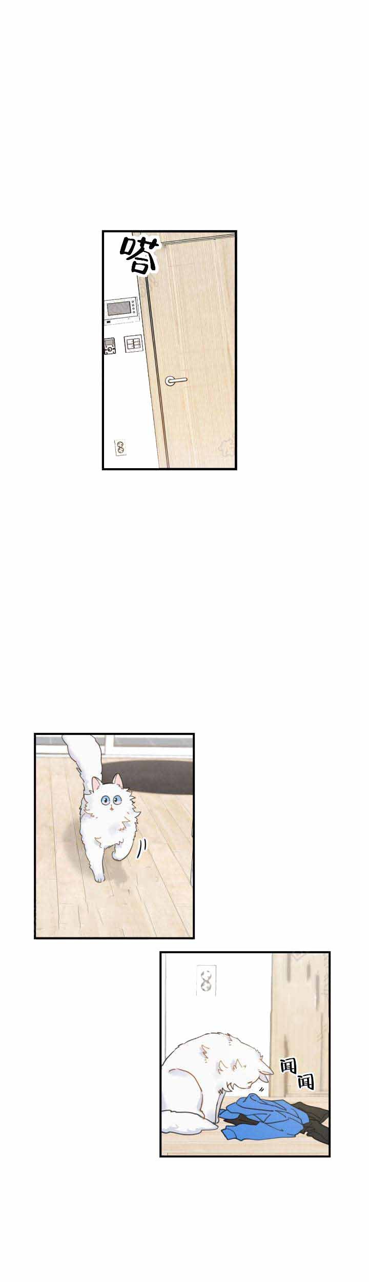 我唯一的猫猫漫画,第4话3图