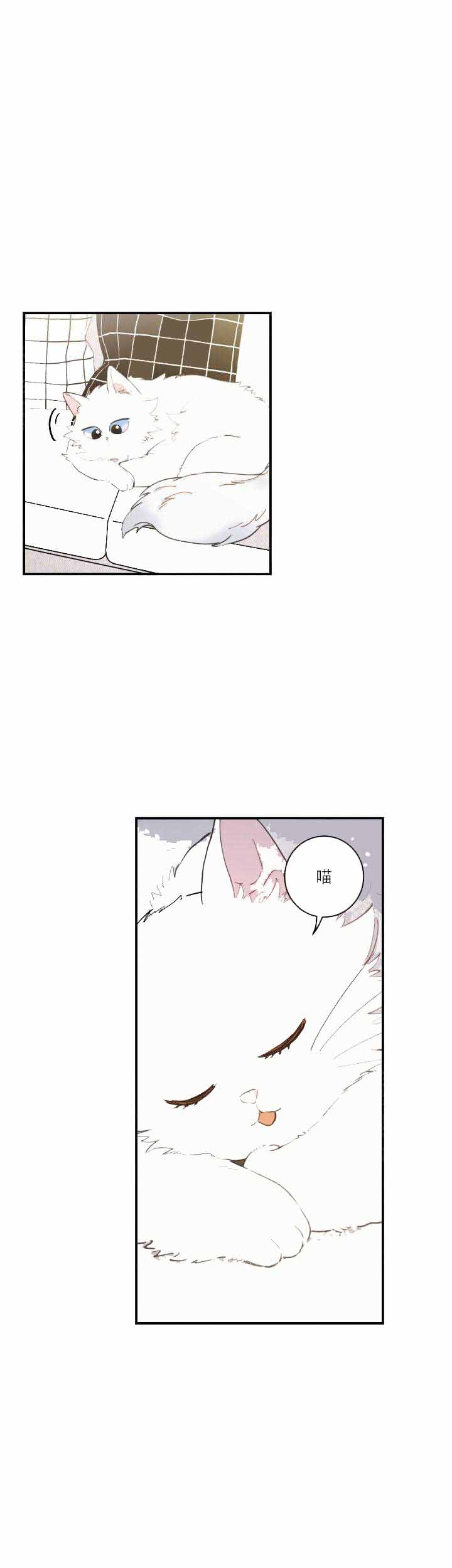 我唯一的猫猫漫画,第4话2图