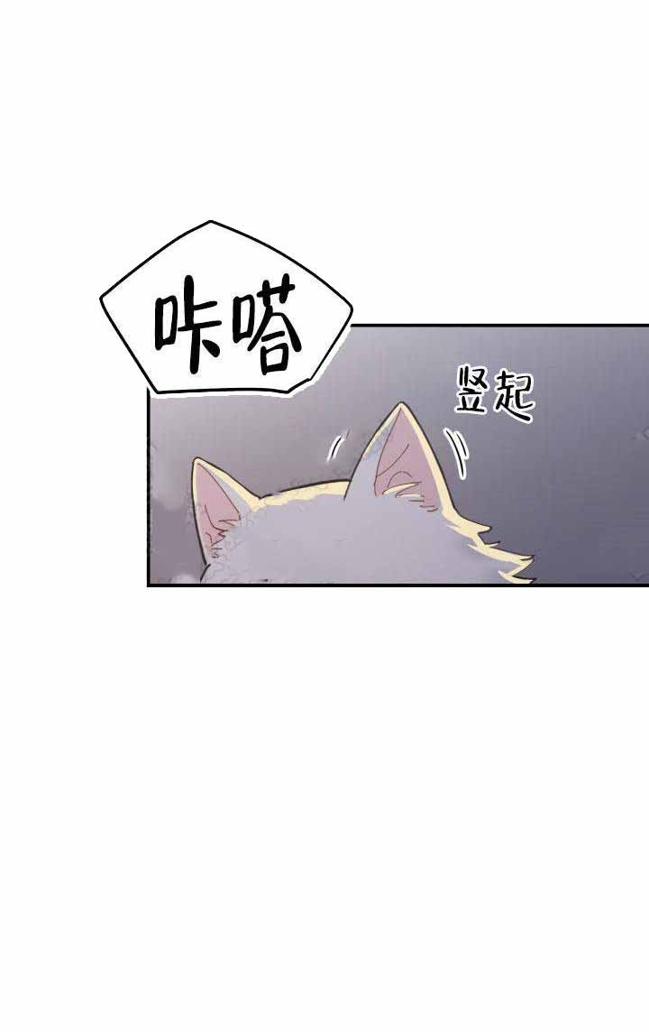 我唯一的猫猫漫画,第4话3图