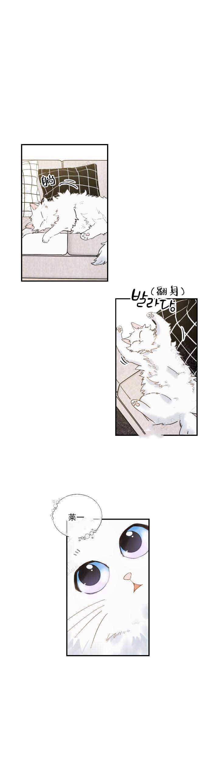 我唯一的猫猫漫画,第4话5图