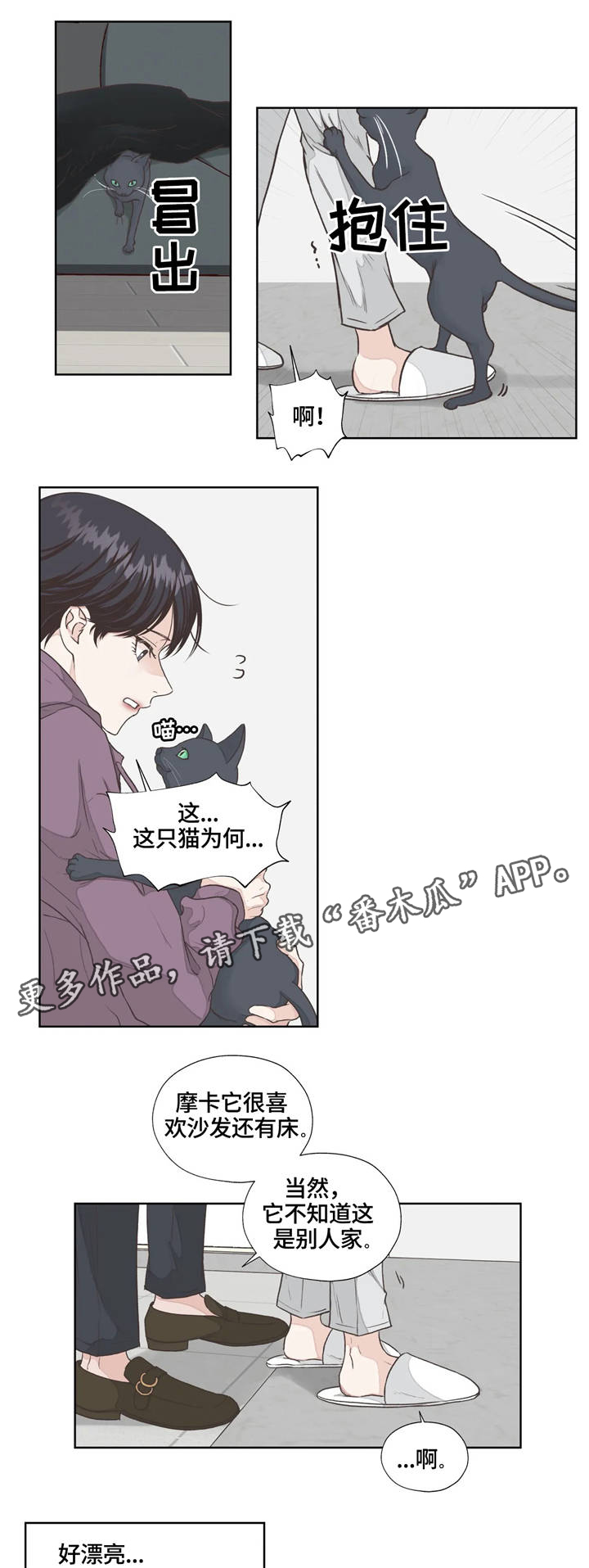 永恒的牢笼还叫什么名字漫画,第4章：寻找4图