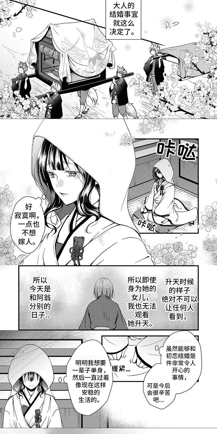 异类婚姻录漫画,第3话5图