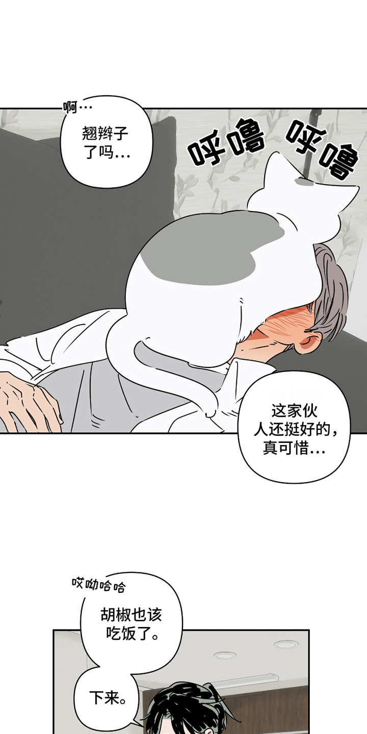 恋爱赌约漫画,第8话1图