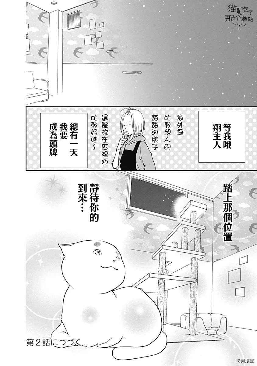 猫咖的玛丽莲漫画,第1话1图