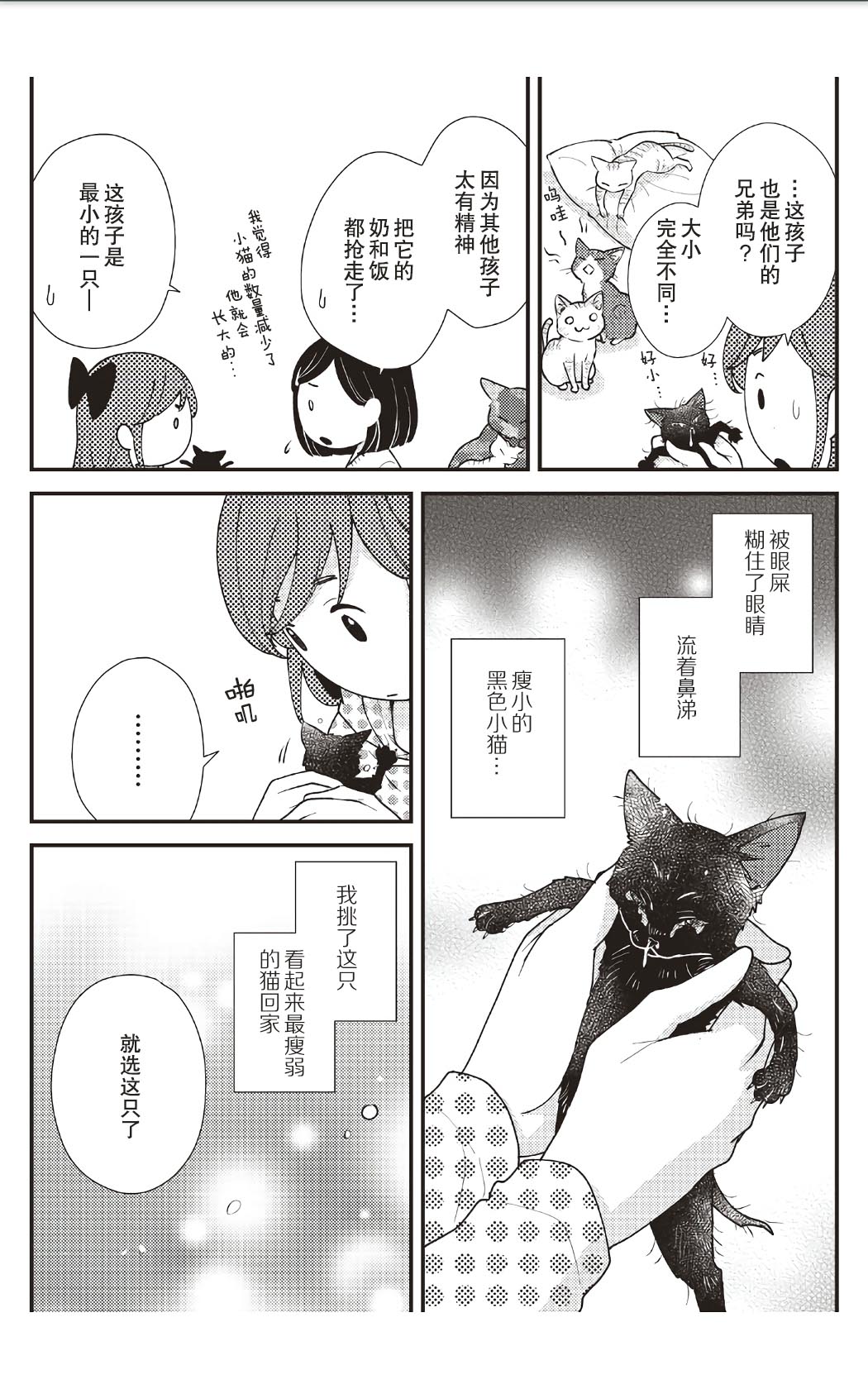 猫咪志愿部的牛奶小姐漫画,第8话1图