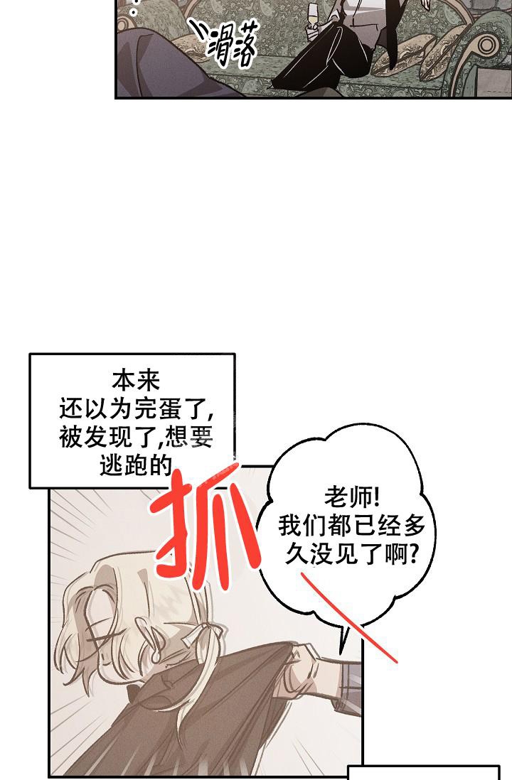 爱的合集开满薰衣草的庭院漫画漫画,第6话5图