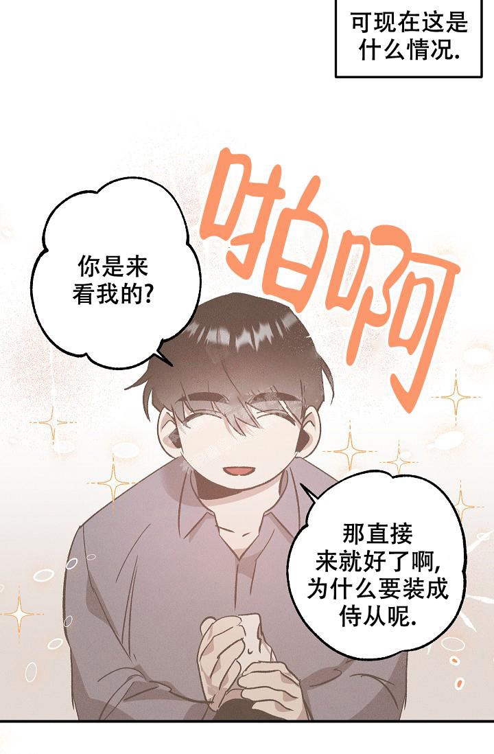 爱的合集开满薰衣草的庭院漫画漫画,第6话1图