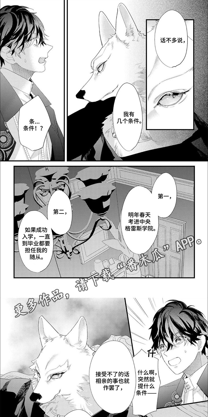 狼公爵的契约漫画,第4话1图