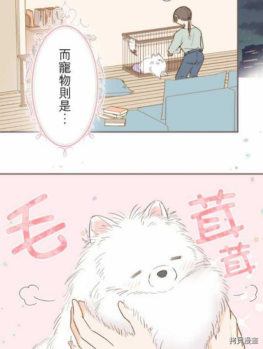 龙骑士与转生圣女漫画,第1话3图