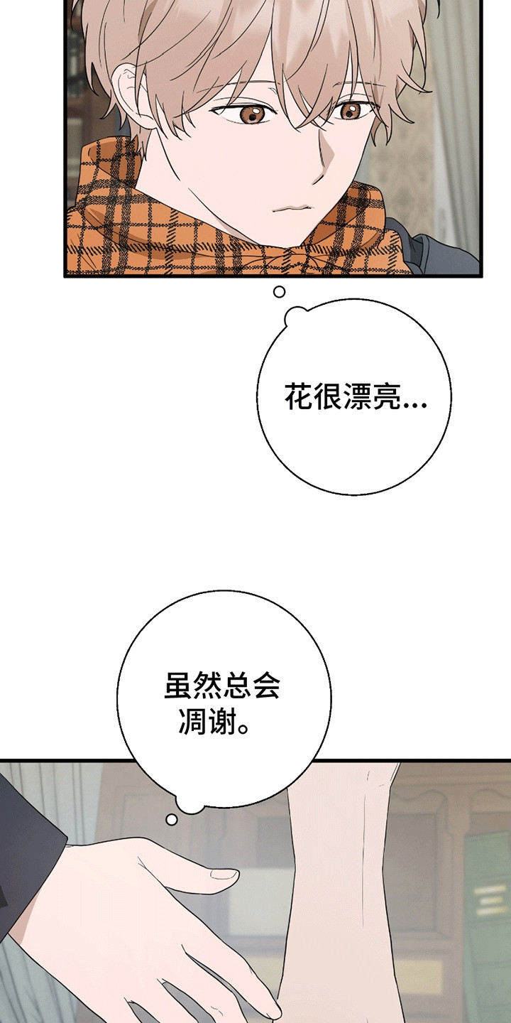 偷心盗贼幽默回复漫画,第10话1图