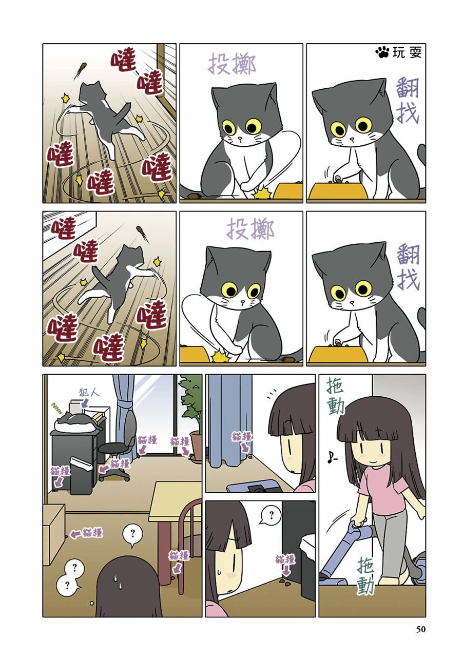 猫和我的日常漫画,第5话3图