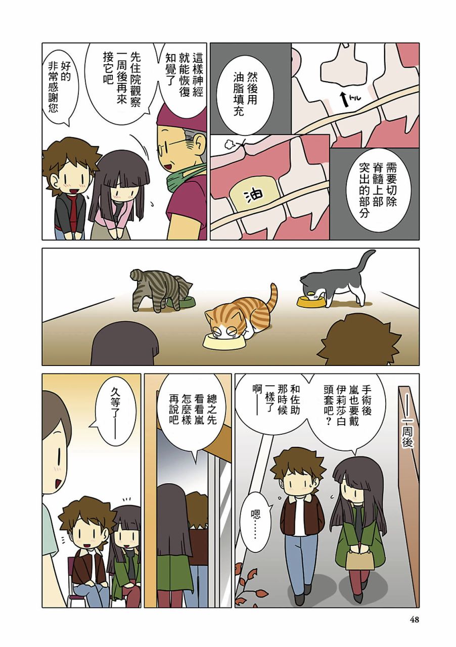 猫和我的日常漫画,第5话1图