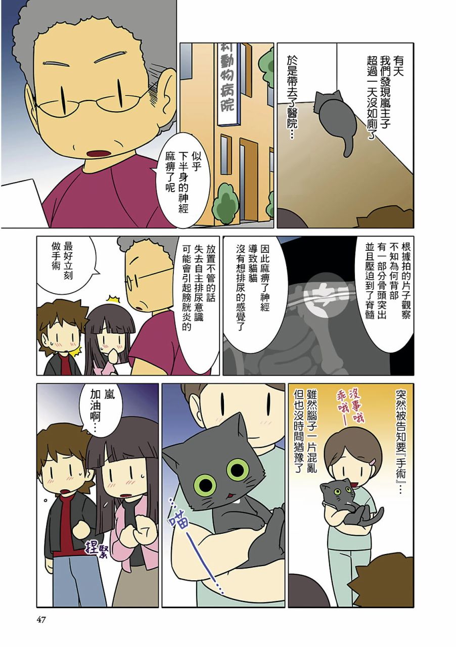 猫和我的日常漫画,第5话5图