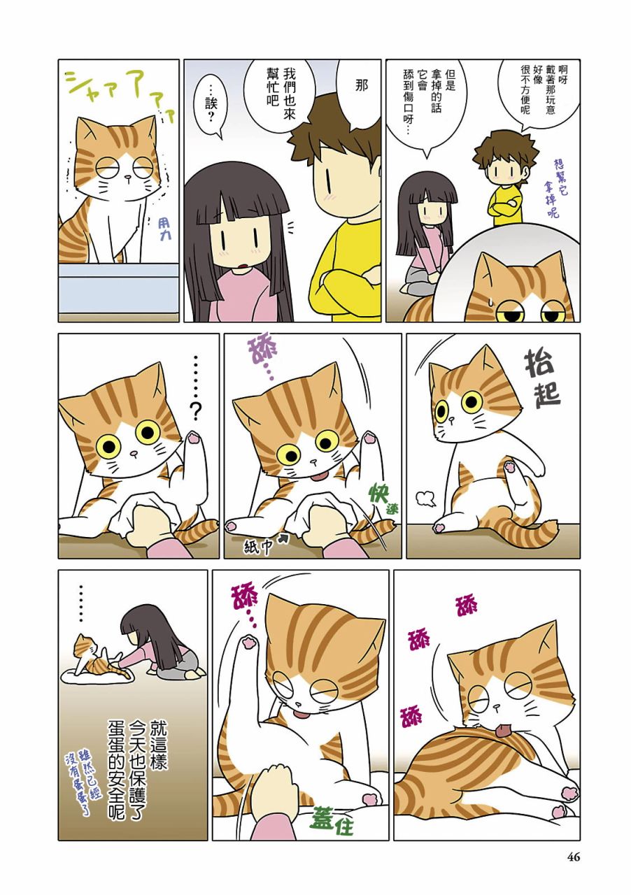 猫和我的日常漫画,第5话4图