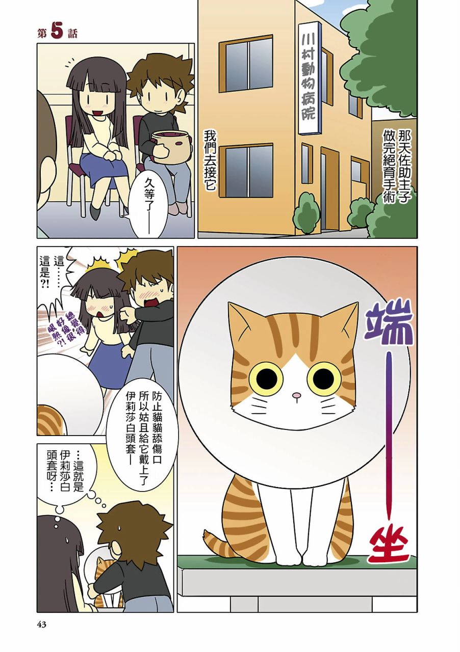 猫和我的日常漫画,第5话1图