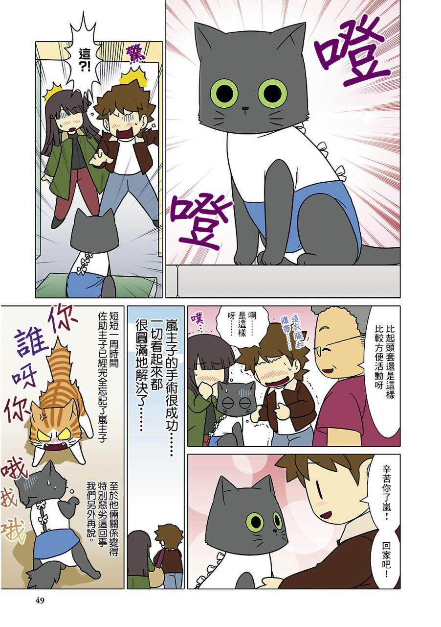 猫和我的日常漫画,第5话2图