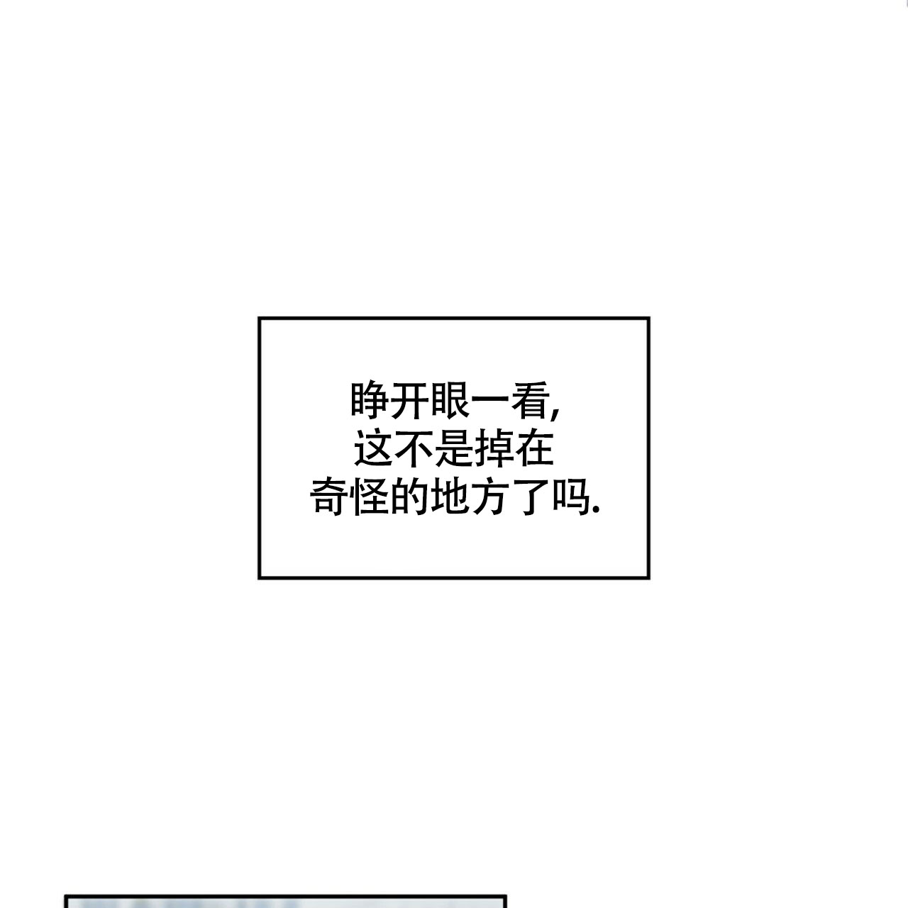 不婚主义的女人漫画,第3话2图